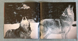 Wolfheart