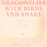 Dragonflies With Birds And Snake