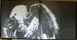 Janis
