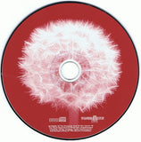 Folky Acoustic Music In Digital Times