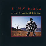 Delicate Sound Of Thunder