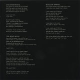 The Bravery