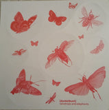 Raindrops And Elephants-Piranha Re:Interpretations