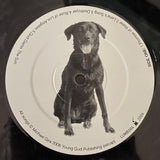 Songs For A Dog