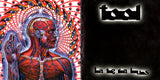 Lateralus