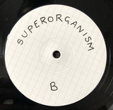 Superorganism