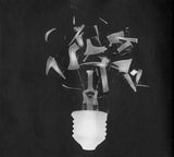 In Memoriam Gilles Deleuze