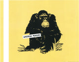 Animal Magic