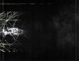 Metavoid