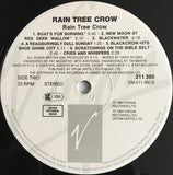 Rain Tree Crow