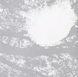 Field Recordings From The Sun