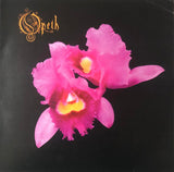 Orchid