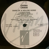 Diary Of A Hollow Horse