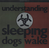 Understanding