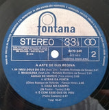 A Arte De Elis Regina