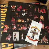 Appetite For Destruction