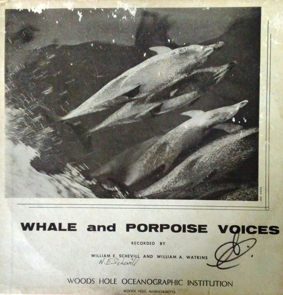 Whale And Porpoise Voices