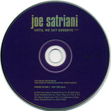 Until We Say Goodbye