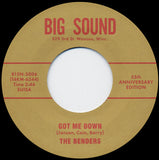 Can't Tame Me / Got Me Down