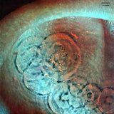 Meddle