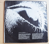 The Book Of Invasions (A Celtic Symphony)