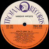 Adults Only Volume 2