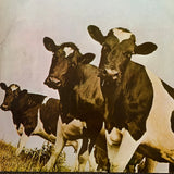 Atom Heart Mother