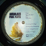 Animals