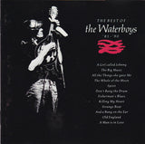 The Best Of The Waterboys '81 - '90