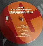 Enxugando Gelo
