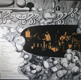 Ginger Baker's Air Force