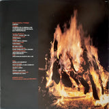 Dia Dorim Noite Neon