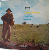 Cana Verde Da Macária