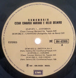 Samambaia