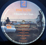 A Momentary Lapse Of Reason