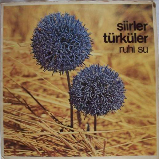Şiirler - Türküler
