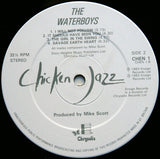 The Waterboys