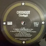 Chixdiggit!