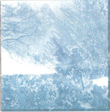 Monoliths & Dimensions