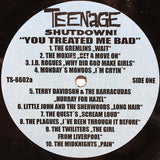 You Treated Me Bad! (The Teener Side Of The Mid 60's Garage Explosion)