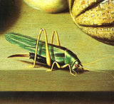 Tabula Rasa