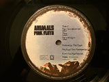 Animals