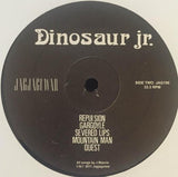Dinosaur