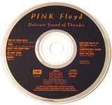 Delicate Sound Of Thunder