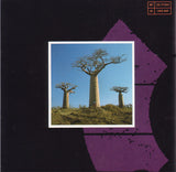 Delicate Sound Of Thunder