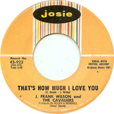 Last Kiss / That's How Much I Love You