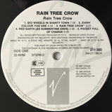 Rain Tree Crow