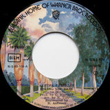 Loving You Baby / Something He Can Feel