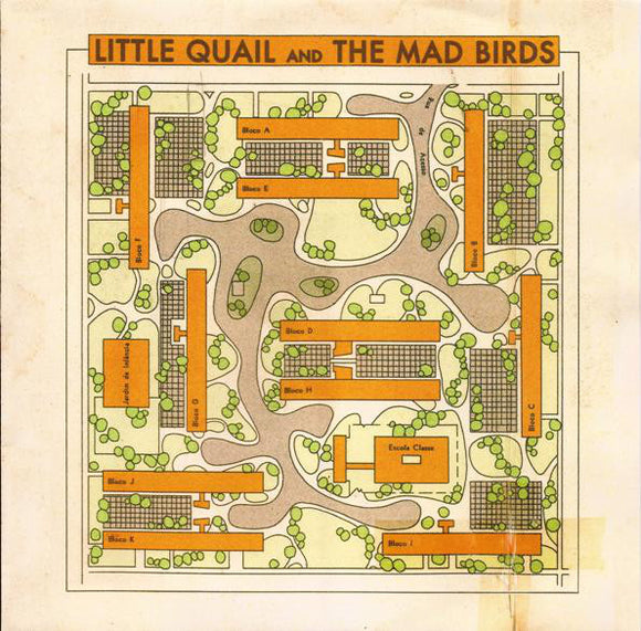 Little Quail & The Mad Birds