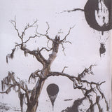 Christ Illusion